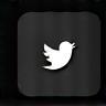 X (Twitter) icon